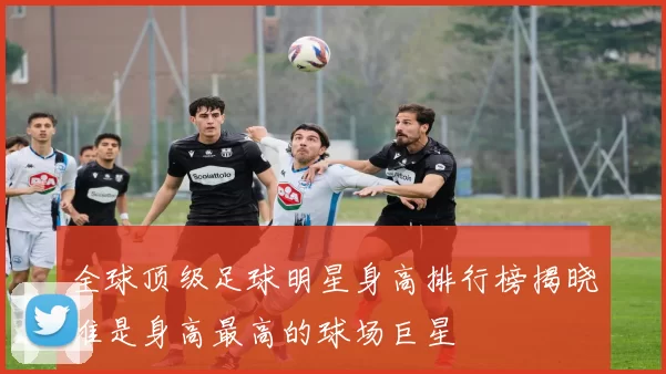 全球顶级足球明星身高排行榜揭晓谁是身高最高的球场巨星