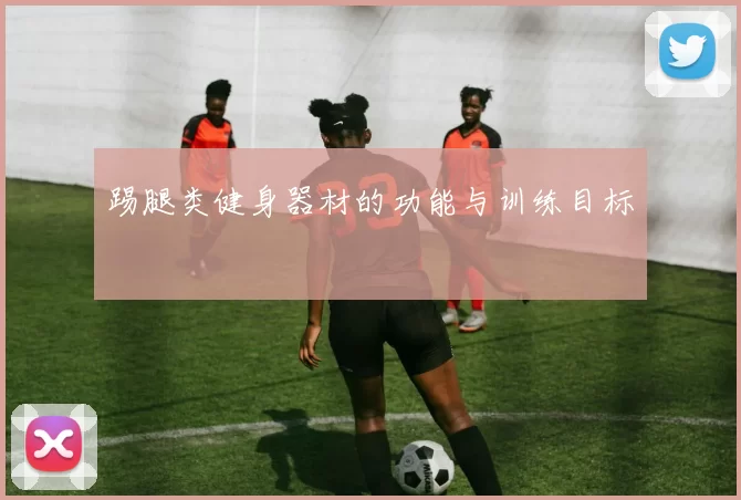踢腿类健身器材的功能与训练目标