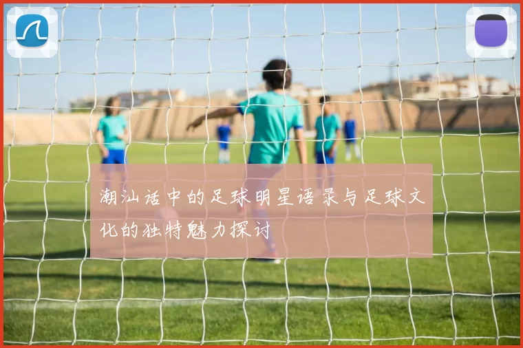 潮汕话中的足球明星语录与足球文化的独特魅力探讨