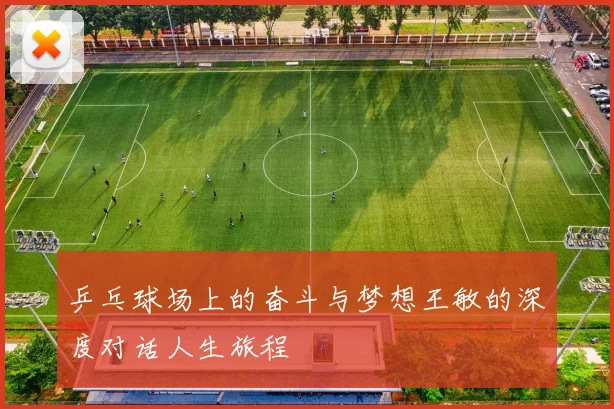 乒乓球场上的奋斗与梦想王敏的深度对话人生旅程