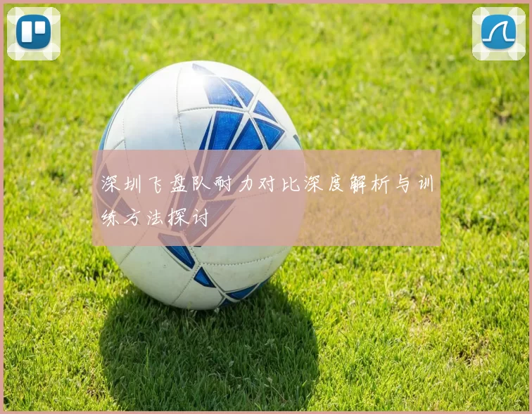 深圳飞盘队耐力对比深度解析与训练方法探讨