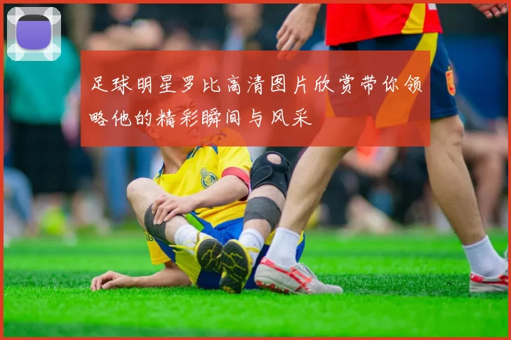 足球明星罗比高清图片欣赏带你领略他的精彩瞬间与风采