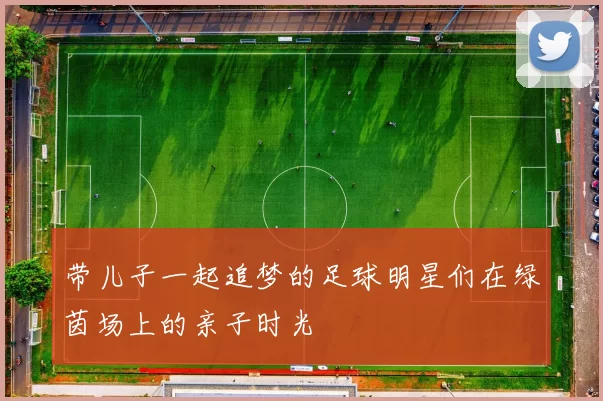带儿子一起追梦的足球明星们在绿茵场上的亲子时光