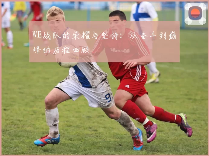 WE战队的荣耀与坚持：从奋斗到巅峰的历程回顾