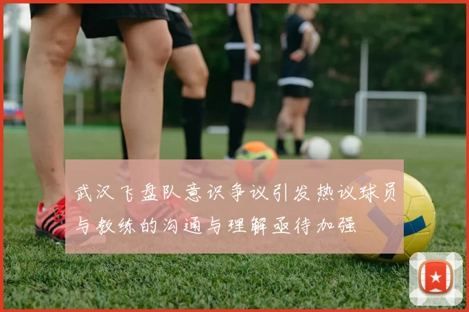 武汉飞盘队意识争议引发热议球员与教练的沟通与理解亟待加强
