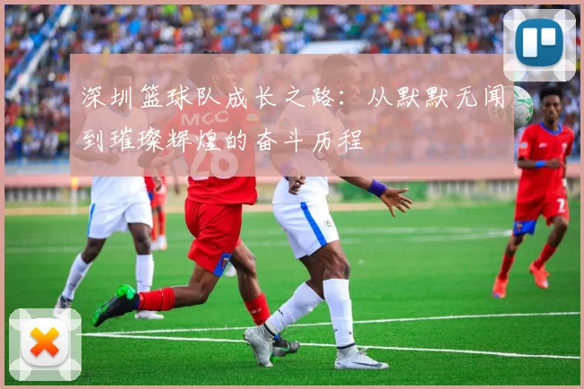 深圳篮球队成长之路：从默默无闻到璀璨辉煌的奋斗历程