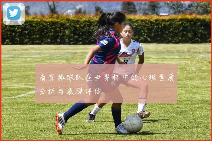 南京排球队在世界杯中的心理素质分析与表现评估