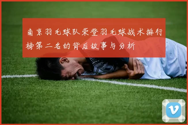 南京羽毛球队荣登羽毛球战术排行榜第二名的背后故事与分析