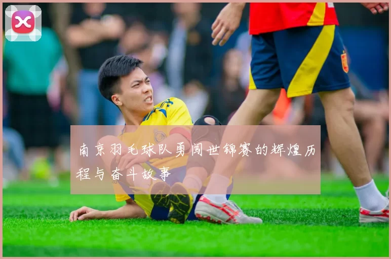 南京羽毛球队勇闯世锦赛的辉煌历程与奋斗故事
