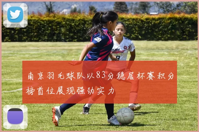 南京羽毛球队以83分稳居杯赛积分榜首位展现强劲实力