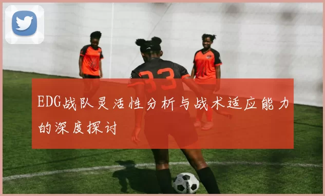 EDG战队灵活性分析与战术适应能力的深度探讨