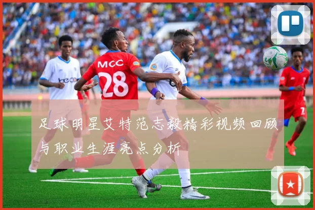 足球明星艾特范志毅精彩视频回顾与职业生涯亮点分析