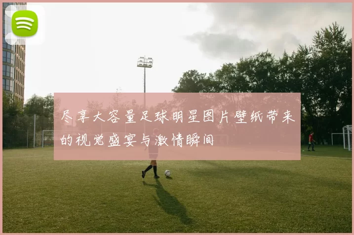 尽享大容量足球明星图片壁纸带来的视觉盛宴与激情瞬间