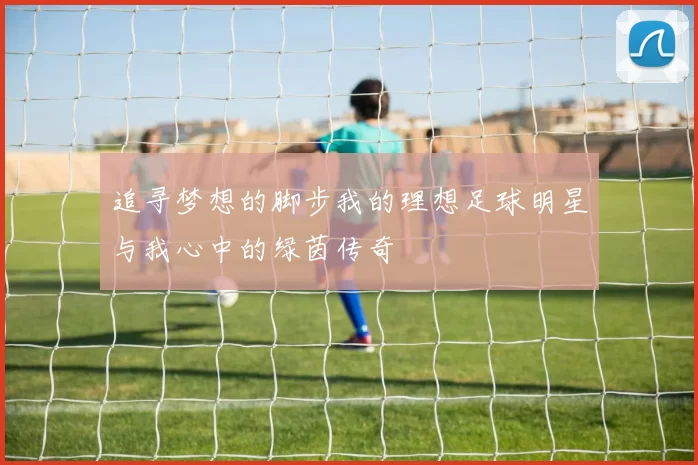 追寻梦想的脚步我的理想足球明星与我心中的绿茵传奇