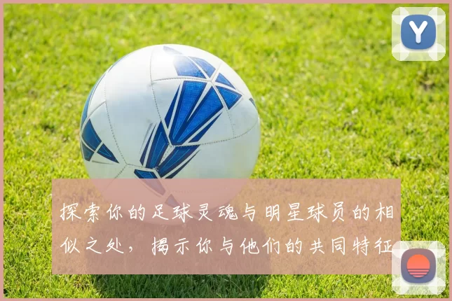探索你的足球灵魂与明星球员的相似之处，揭示你与他们的共同特征与魅力