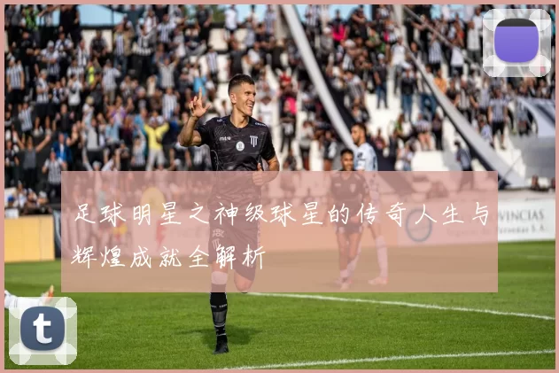 足球明星之神级球星的传奇人生与辉煌成就全解析