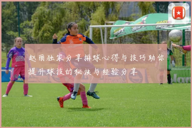 赵丽独家分享排球心得与技巧助你提升球技的秘诀与经验分享