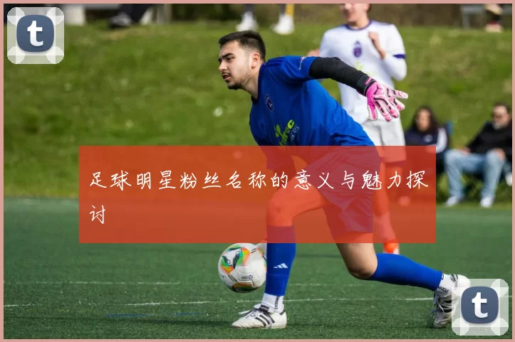 足球明星粉丝名称的意义与魅力探讨