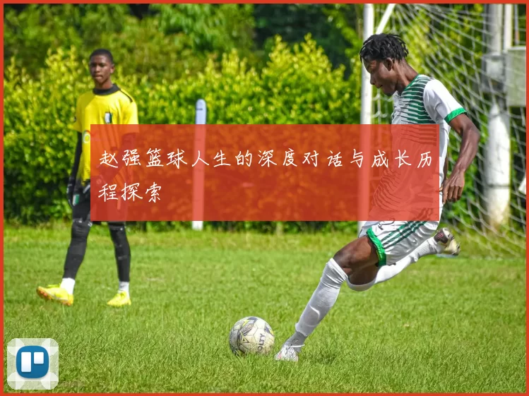 赵强篮球人生的深度对话与成长历程探索